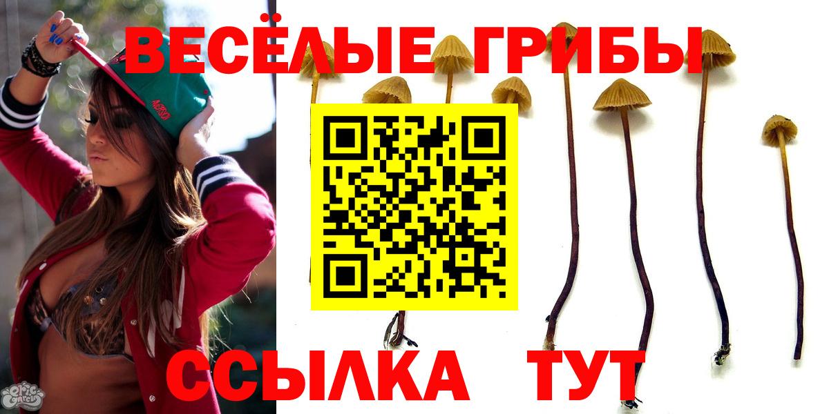 Псилоцибиновые грибы ЛСД Ишим