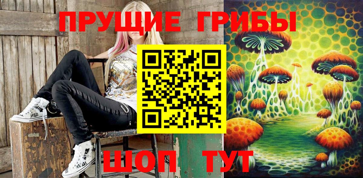 Ишим  Псилоцибиновые грибы Psilocybe  Вход с VPN 